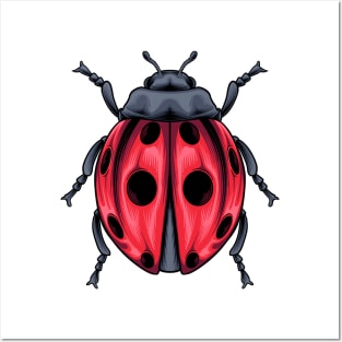 Ladybug Posters and Art